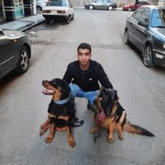 Safwan Abozid