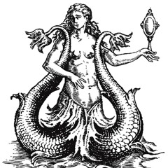 mermaids @kittymaxxingmeow