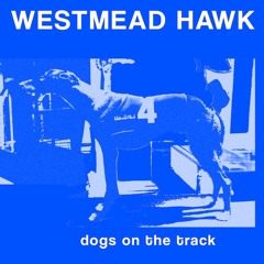 Christmas At Westmeads House