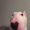 squinkly binkly