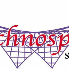 Techno Span Structures