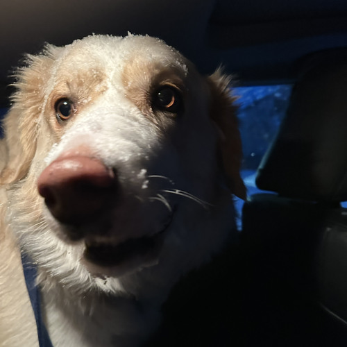 Stream erica music | Listen to songs, albums, playlists for free on ...