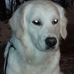ecxo
