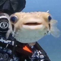 ぷりん