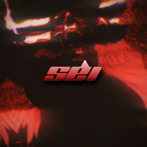 SEI’s avatar