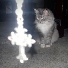 nibiru'