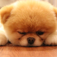 XxxxDarkyCloudysxxxX㋡✎ღ