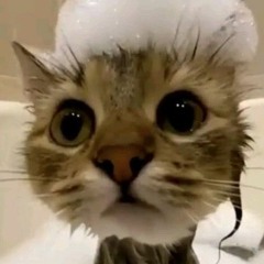 JustCaleHere