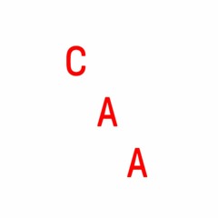 CAA Contemporary Art Archipelago