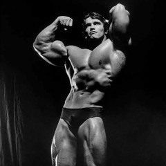 ARNOLD 👑