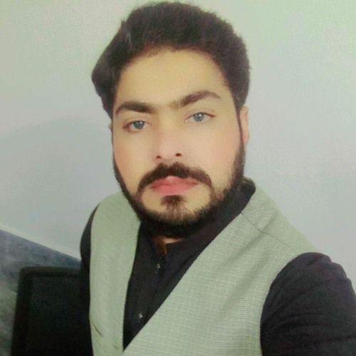 حسام محمود ڈوگر’s avatar