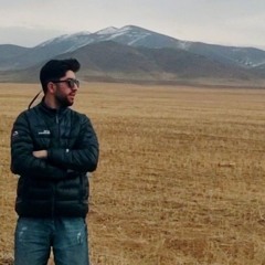AmiR HosseiN Lashgari