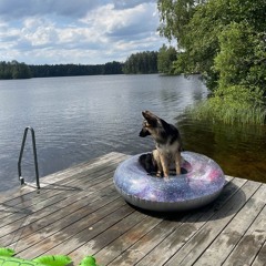 Melvin fkn johansson