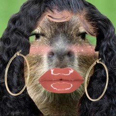 yassified capybara