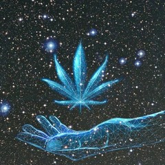 V3nus_morningstar