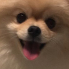 sik2