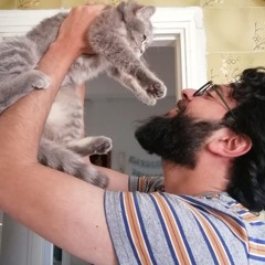محمد الصالحي