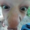 Manni