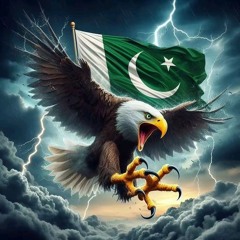 lc do vs23 🆚️🇵🇰✌🏽🐝🐻👨‍🏫