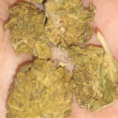 sem comentários 👋🏼🧿🏌🏽‍♂️