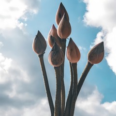 My