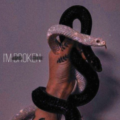 BLACKMAMBA