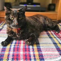 Ruby
