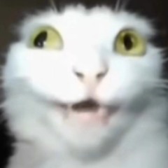 Rozeyl