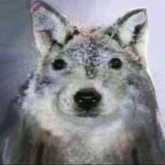 vitaxxd