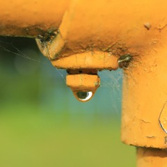 tubomi