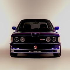 bmw fan