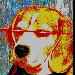 xXRolanSWAGGXx
