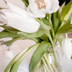 سورة الواقعة - سعيد الخطيب.