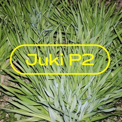 Juki P2