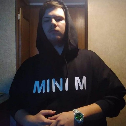 MINI M’s avatar