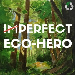 Imperfect Eco-Hero