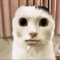 hughjass