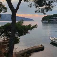 Zmalnafisi