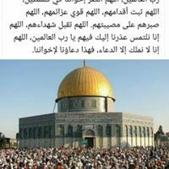 Manal Sh