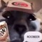 OhNoMyRoobeer