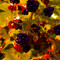aaron_jones0589