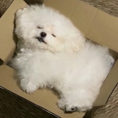 평생소원이누룽지