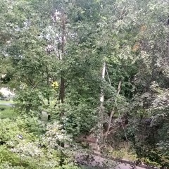 Clyapich