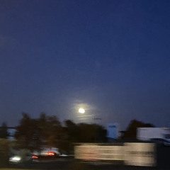 m0onl1ght