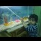 Shams Hesham
