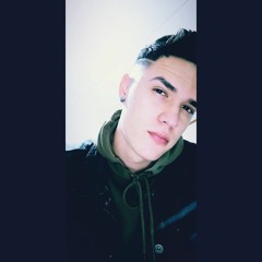 Various artists (Radicales 4)