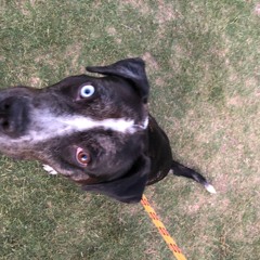 One of the Emmas (Esther)