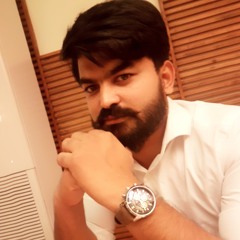 Malik Muhammad Usman Hassan