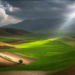 Mehrnoush Yeganegy