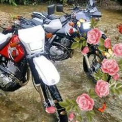 Dairoalonso Calderoncastaño